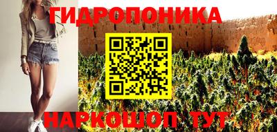 мет Можга